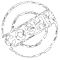 coshh logo